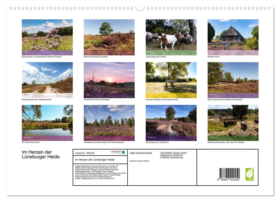 Im Herzen der Lüneburger Heide (CALVENDO Premium Wandkalender 2026)