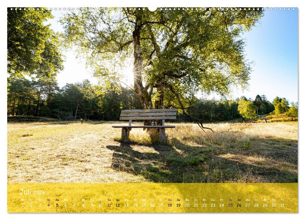 Im Herzen der Lüneburger Heide (CALVENDO Premium Wandkalender 2026)