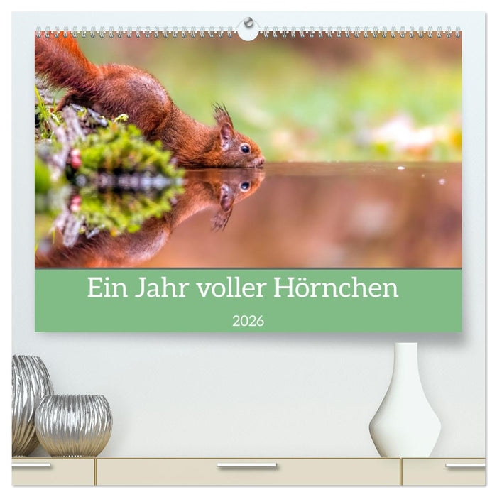 Ein Jahr voller Hörnchen (CALVENDO Premium Wandkalender 2026)