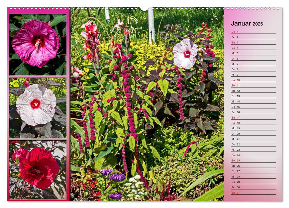 Blühende Gartenparks in Mannheim (CALVENDO Premium Wandkalender 2026)