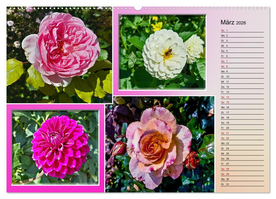 Blühende Gartenparks in Mannheim (CALVENDO Premium Wandkalender 2026)