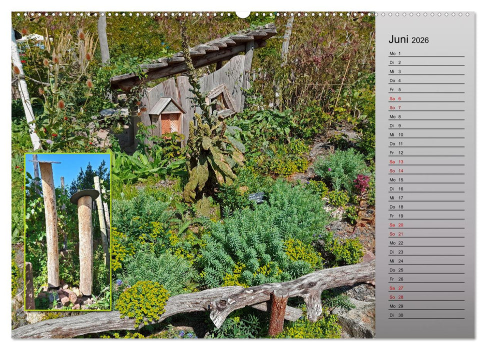 Blühende Gartenparks in Mannheim (CALVENDO Premium Wandkalender 2026)