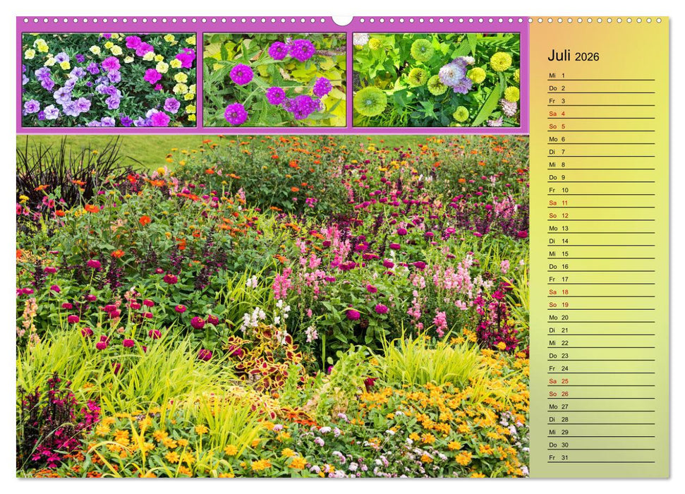 Blühende Gartenparks in Mannheim (CALVENDO Premium Wandkalender 2026)