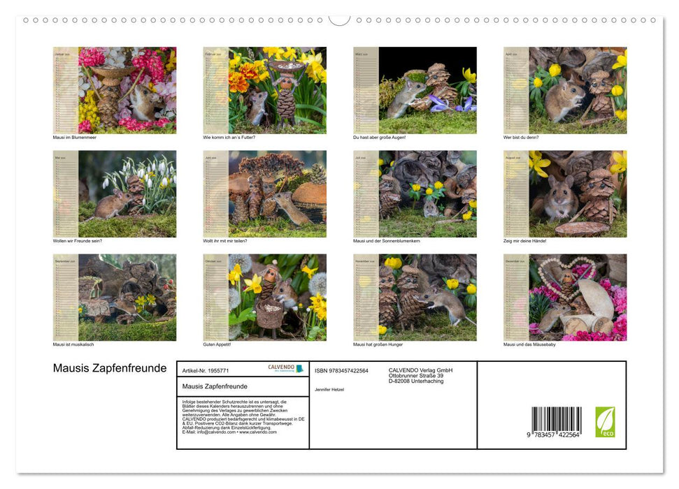 Mausis Zapfenfreunde (CALVENDO Premium Wandkalender 2026)