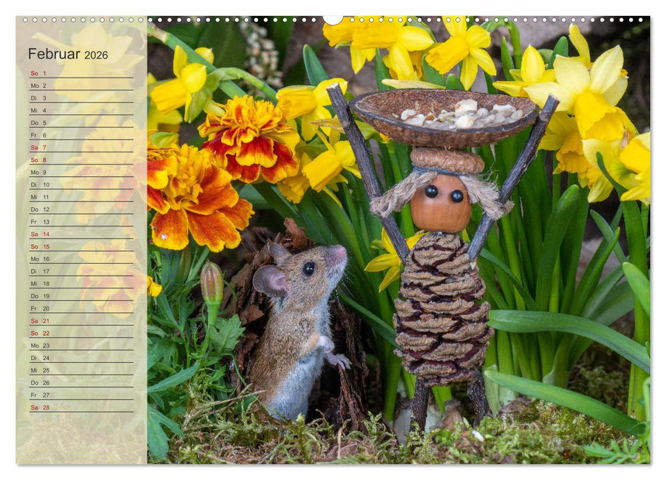 Mausis Zapfenfreunde (CALVENDO Premium Wandkalender 2026)