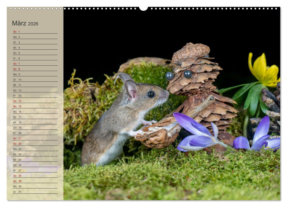 Mausis Zapfenfreunde (CALVENDO Premium Wandkalender 2026)