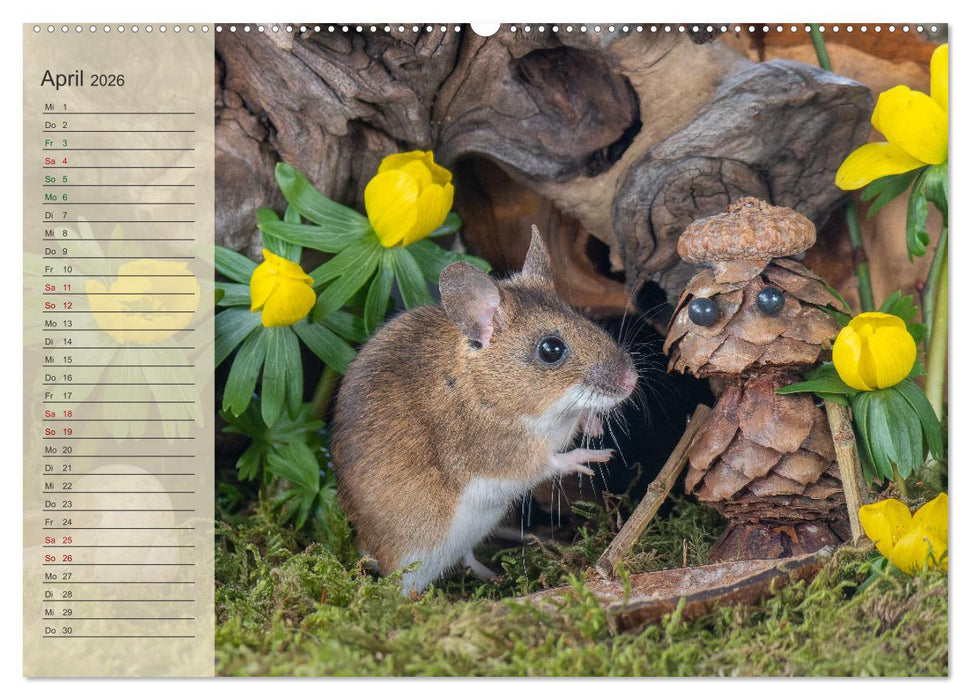 Mausis Zapfenfreunde (CALVENDO Premium Wandkalender 2026)