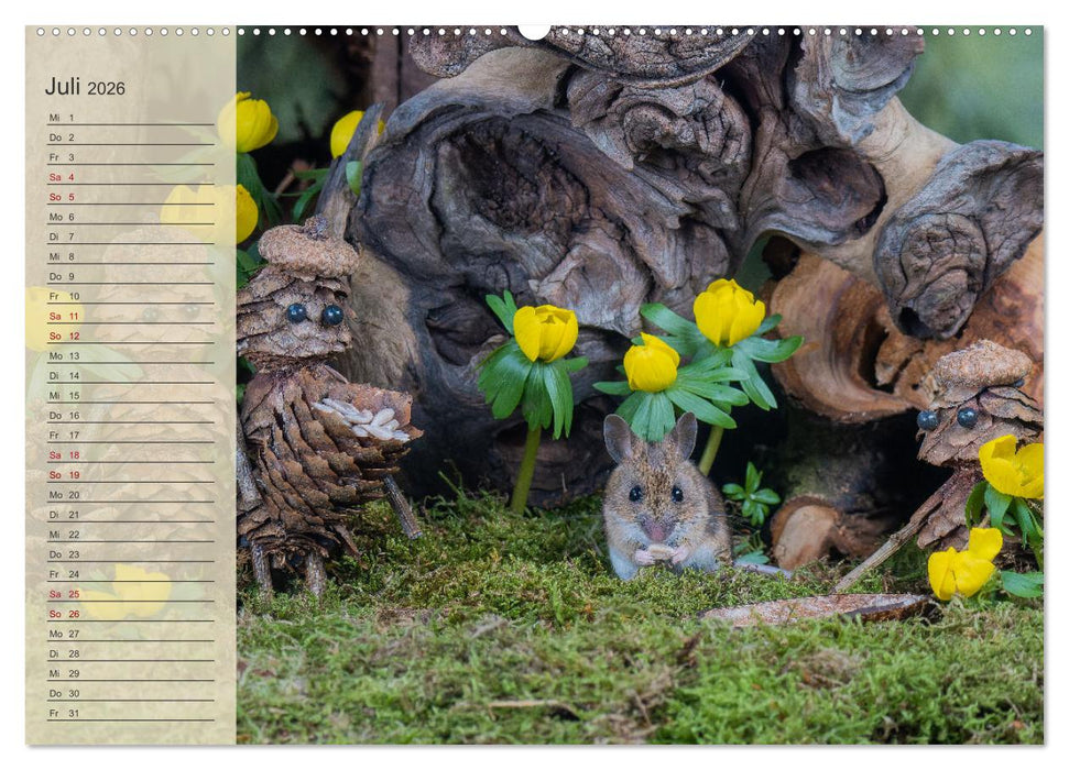 Mausis Zapfenfreunde (CALVENDO Premium Wandkalender 2026)