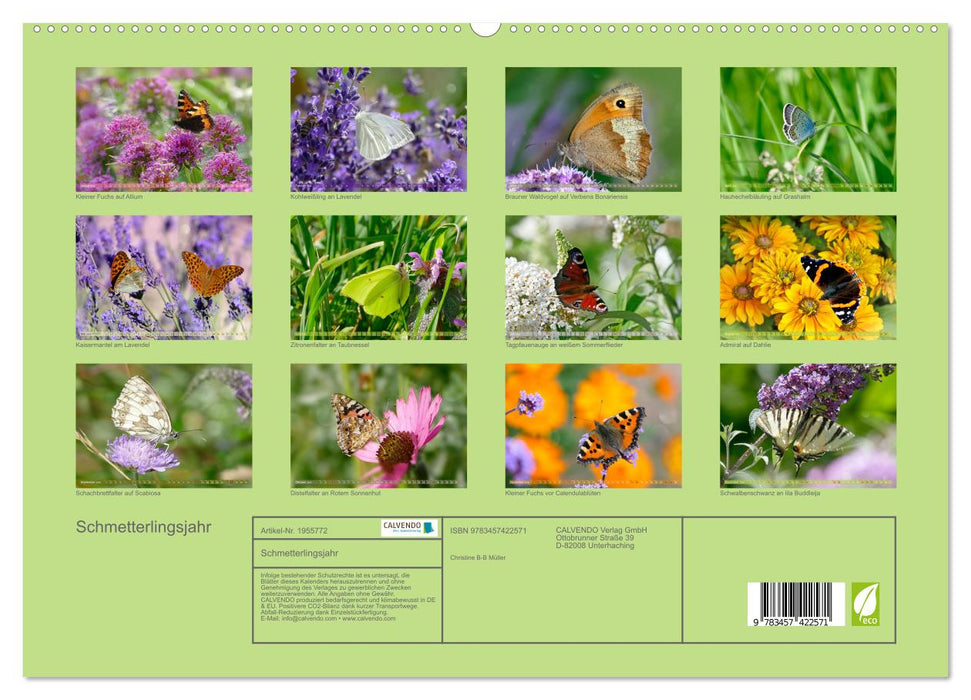 Schmetterlingsjahr (CALVENDO Premium Wandkalender 2026)