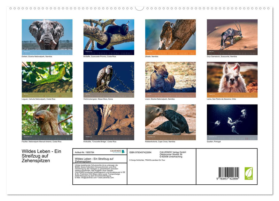 Wildes Leben - Ein Streifzug auf Zehenspitzen (CALVENDO Premium Wandkalender 2026)