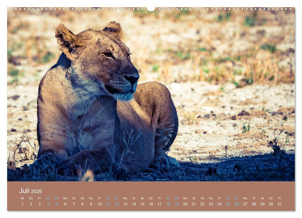 Wildes Leben - Ein Streifzug auf Zehenspitzen (CALVENDO Premium Wandkalender 2026)