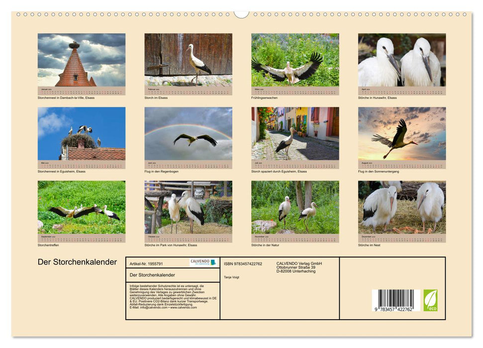 Der Storchenkalender (CALVENDO Premium Wandkalender 2026)