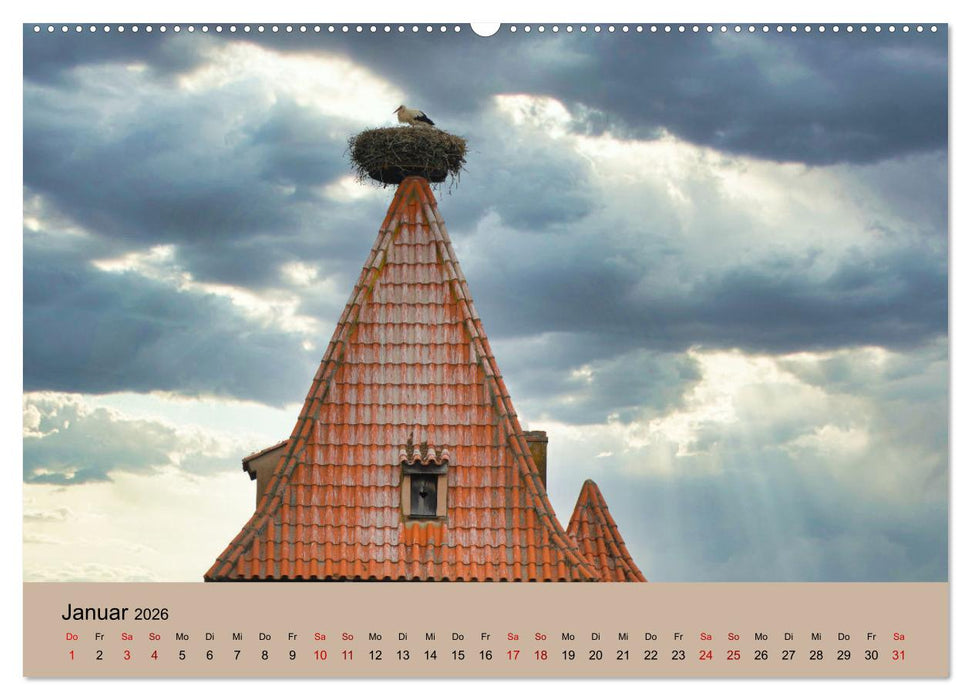 Der Storchenkalender (CALVENDO Premium Wandkalender 2026)