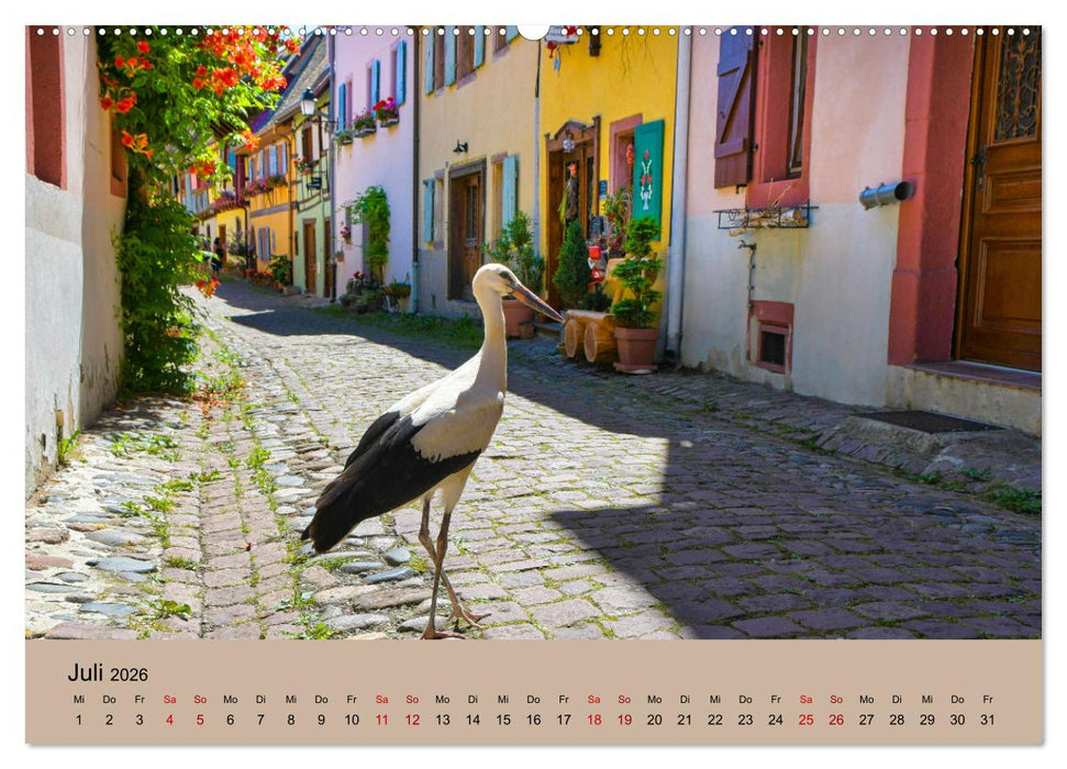 Der Storchenkalender (CALVENDO Premium Wandkalender 2026)