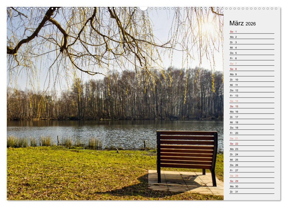 Der Steinertsee (CALVENDO Premium Wandkalender 2026)