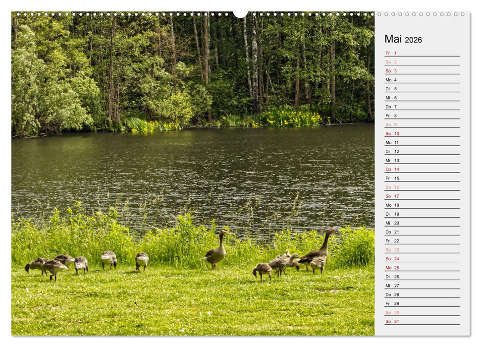 Der Steinertsee (CALVENDO Premium Wandkalender 2026)
