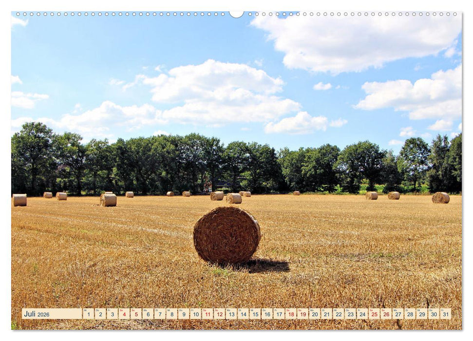 In Apen und umzu (CALVENDO Premium Wandkalender 2026)