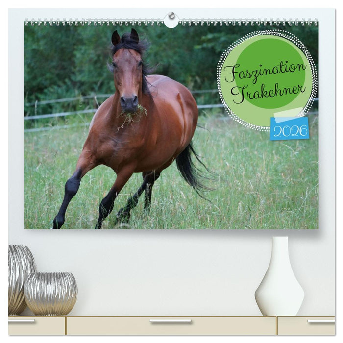 Faszination Trakehner (CALVENDO Premium Wandkalender 2026)