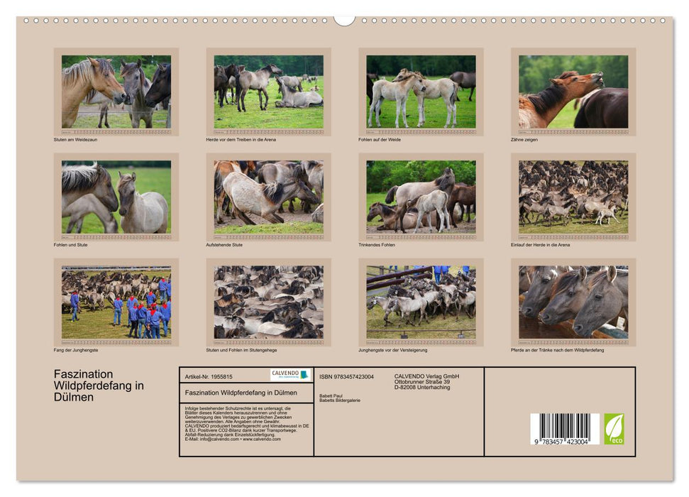 Faszination Wildpferdefang in Dülmen (CALVENDO Premium Wandkalender 2026)