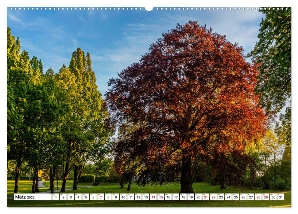 Heilbad Heiligenstadt Stadtansichten (CALVENDO Premium Wandkalender 2026)