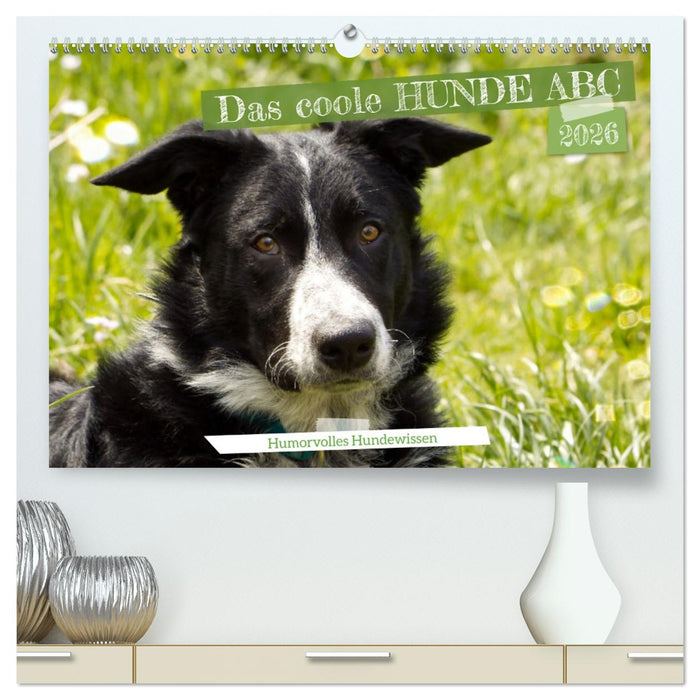 Das coole Hunde ABC (CALVENDO Premium Wandkalender 2026)