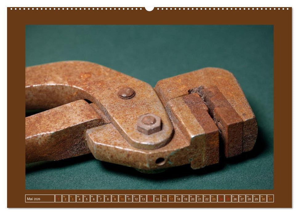 Alt und rostig (CALVENDO Premium Wandkalender 2026)