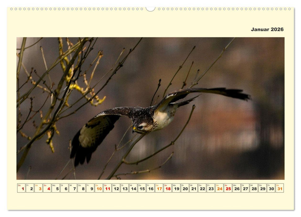 Tierwelt der Wümmeniederung (CALVENDO Premium Wandkalender 2026)