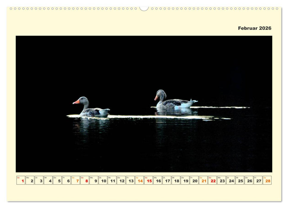 Tierwelt der Wümmeniederung (CALVENDO Premium Wandkalender 2026)