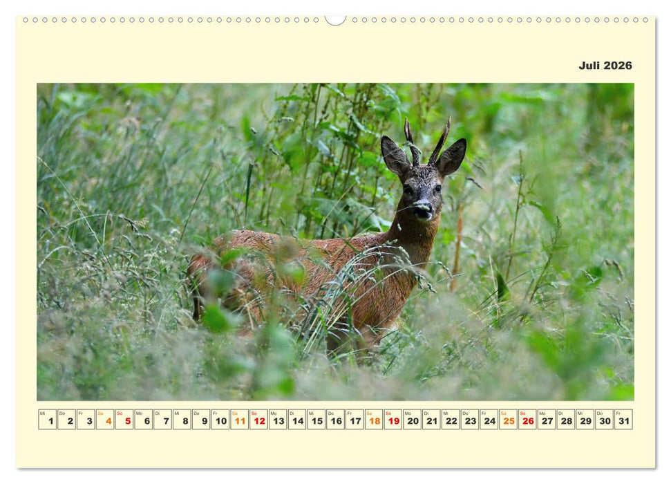 Tierwelt der Wümmeniederung (CALVENDO Premium Wandkalender 2026)