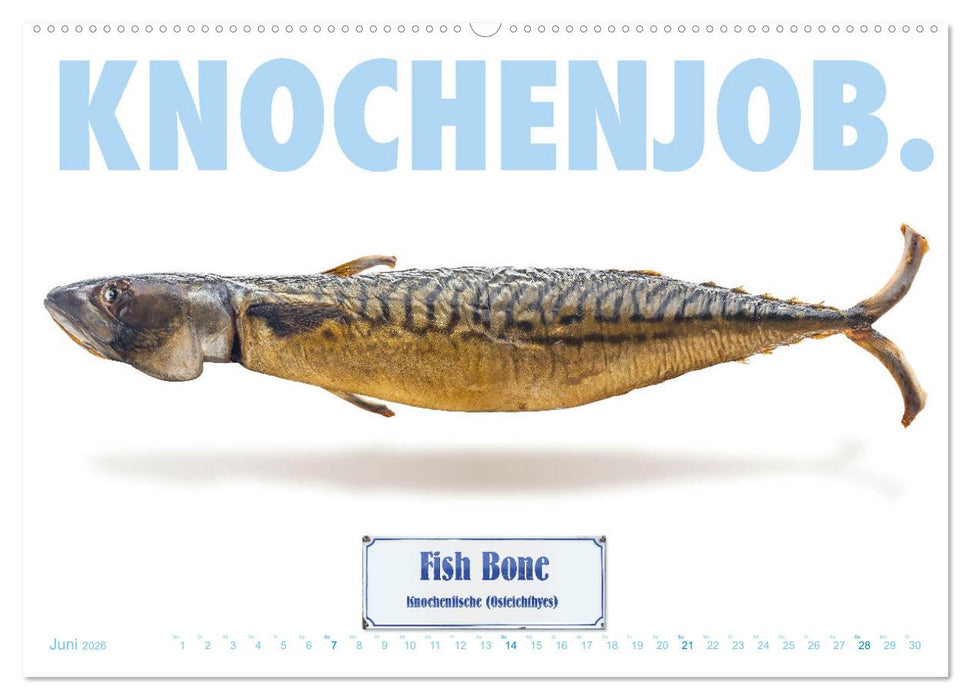 FiSH! · Der ultimative Küchenkalender (CALVENDO Premium Wandkalender 2026)
