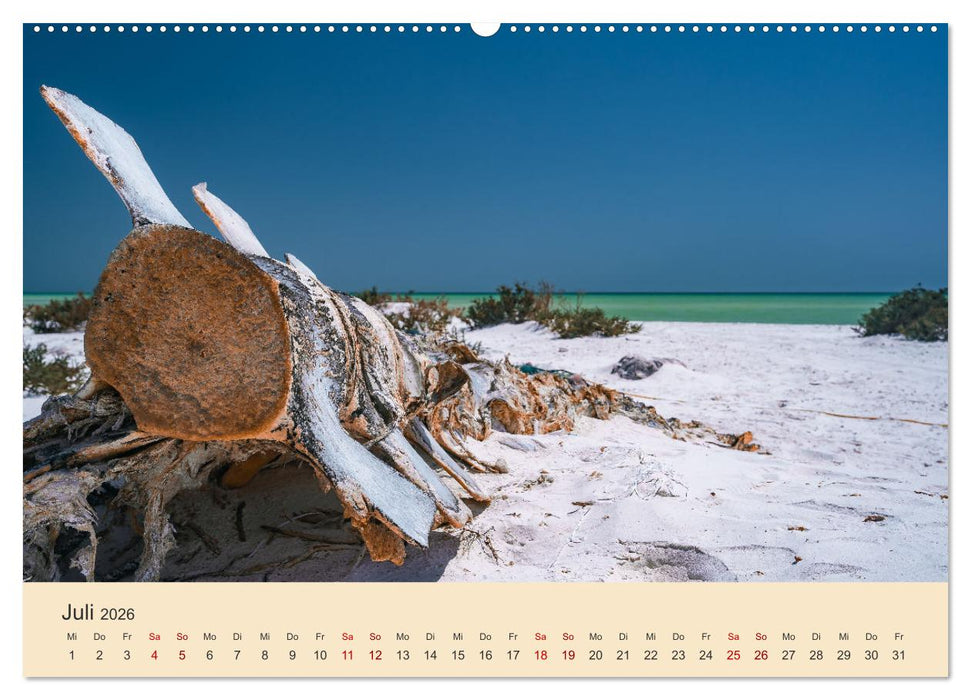OMAN - Orientperle (CALVENDO Premium Wandkalender 2026)