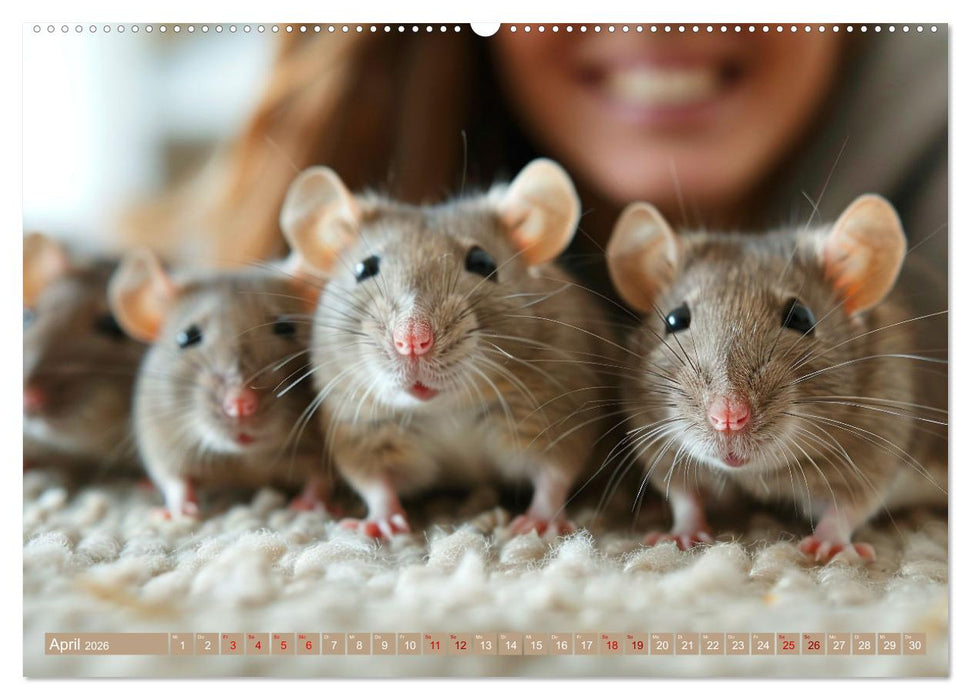 Mein bester Kumpel ist eine Ratte (CALVENDO Premium Wandkalender 2026)