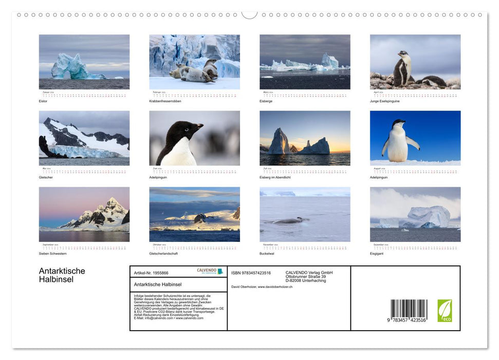 Antarktische Halbinsel (CALVENDO Premium Wandkalender 2026)