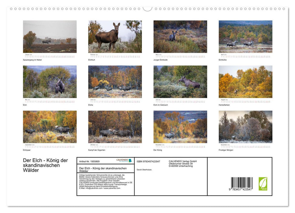 Der Elch - König der skandinavischen Wälder (CALVENDO Premium Wandkalender 2026)