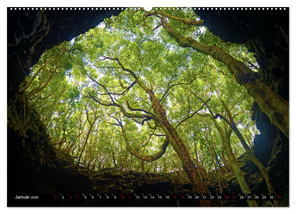 Pico Azoren - Vulkanisch geprägte Trauminsel im Atlantik (CALVENDO Premium Wandkalender 2026)