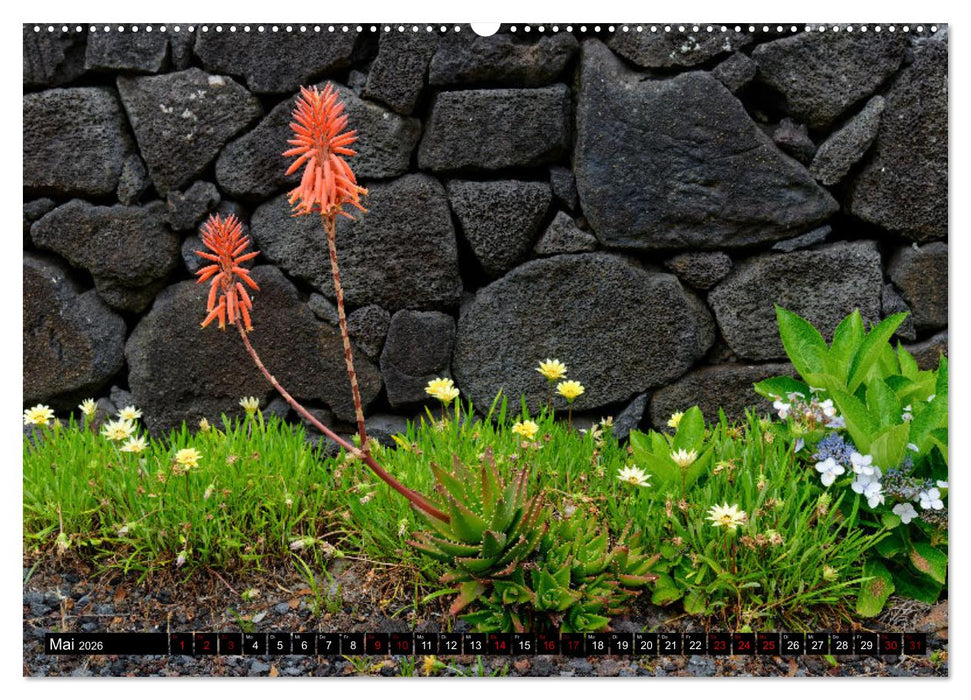 Pico Azoren - Vulkanisch geprägte Trauminsel im Atlantik (CALVENDO Premium Wandkalender 2026)