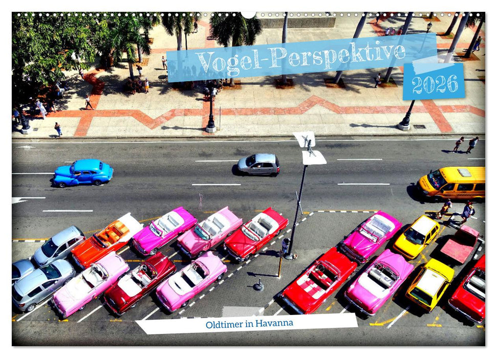 Vogel-Perspektive - Oldtimer in Havanna (CALVENDO Wandkalender 2026)