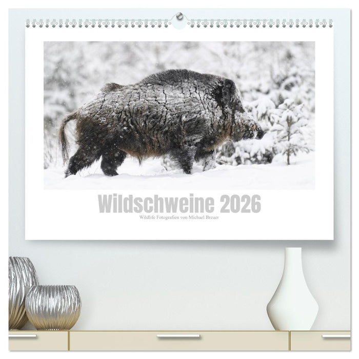 Wildschweine – Wildlife Fotografien (CALVENDO Premium Wandkalender 2026)