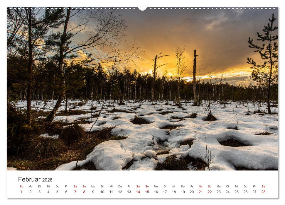 Naturjuwel Haspelmoor (CALVENDO Premium Wandkalender 2026)