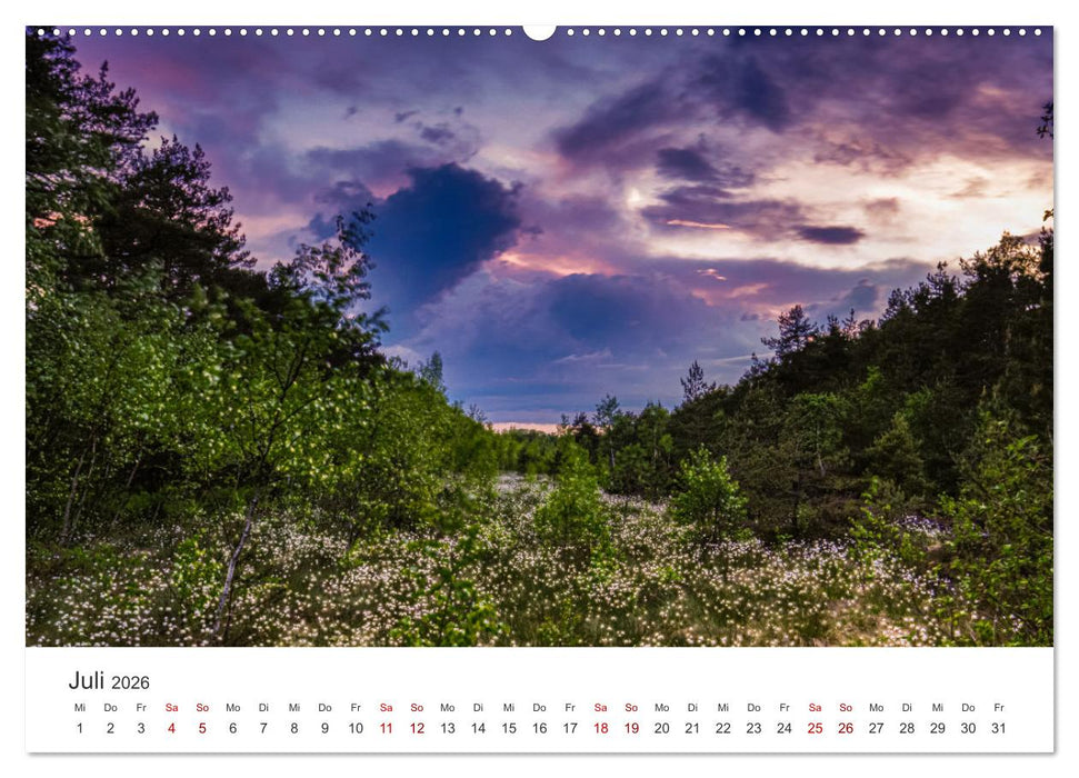 Naturjuwel Haspelmoor (CALVENDO Premium Wandkalender 2026)