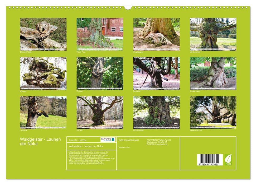 Waldgeister - Launen der Natur (CALVENDO Premium Wandkalender 2026)