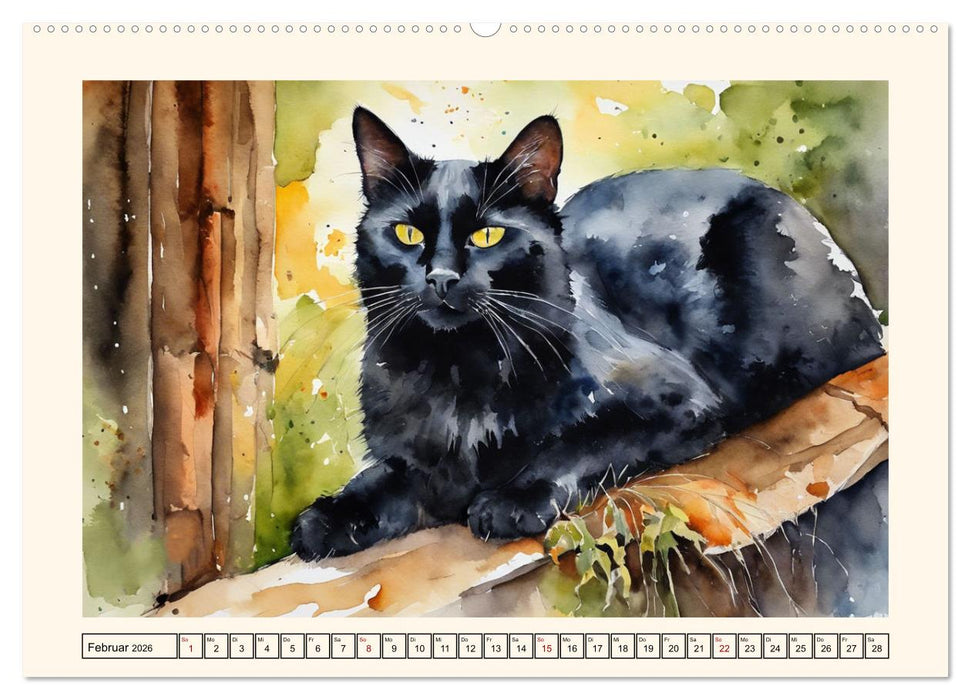 Samtpfoten im Portrait (CALVENDO Premium Wandkalender 2026)