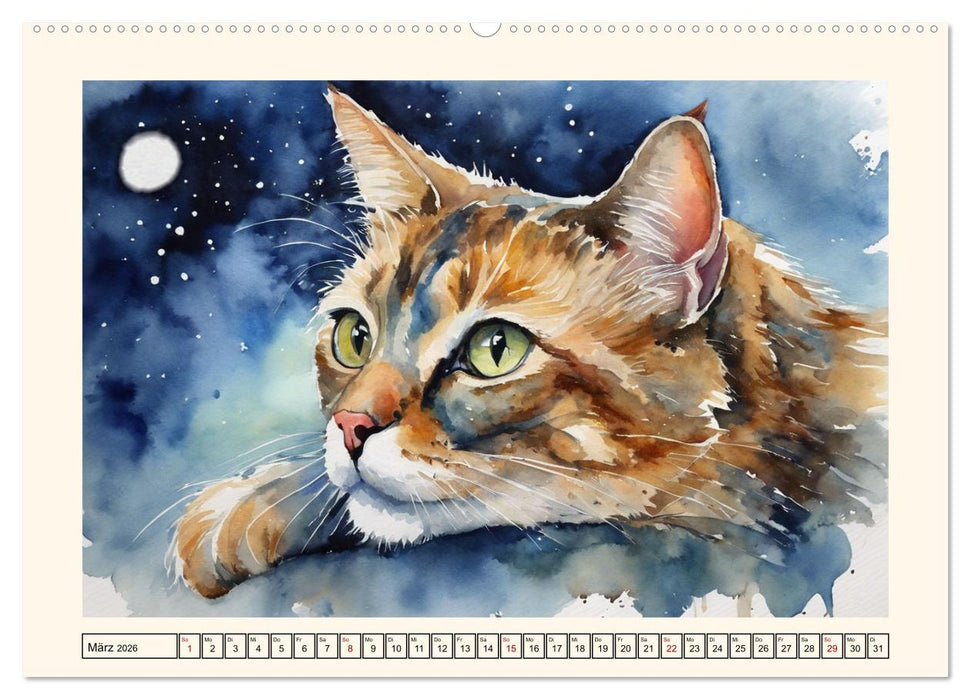 Samtpfoten im Portrait (CALVENDO Premium Wandkalender 2026)