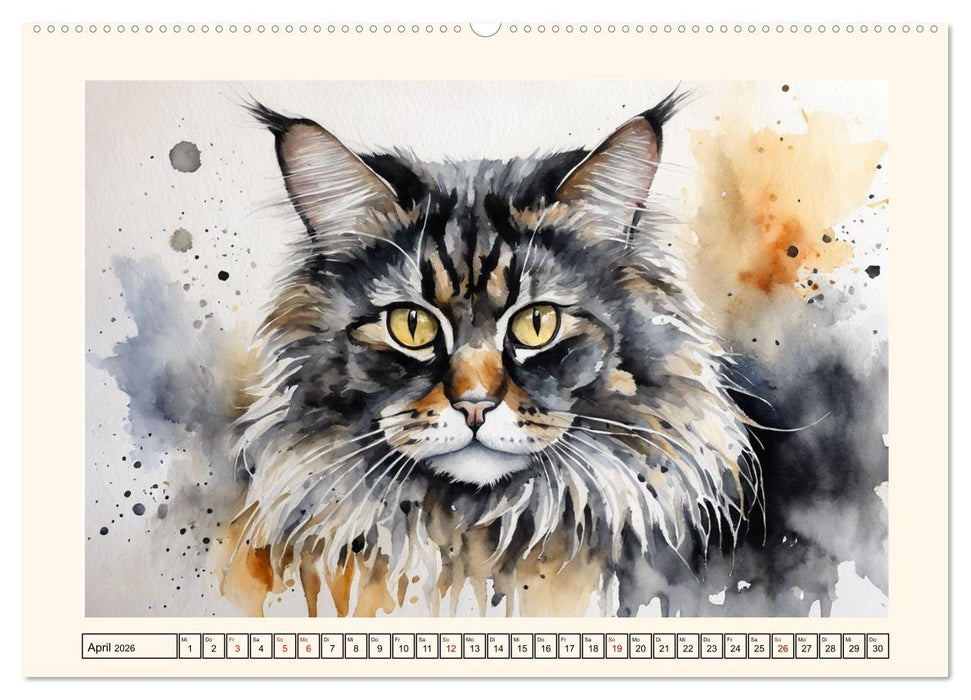 Samtpfoten im Portrait (CALVENDO Premium Wandkalender 2026)