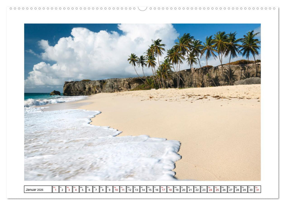 Traumstrände - Naturparadiese aus aller Welt (CALVENDO Premium Wandkalender 2026)
