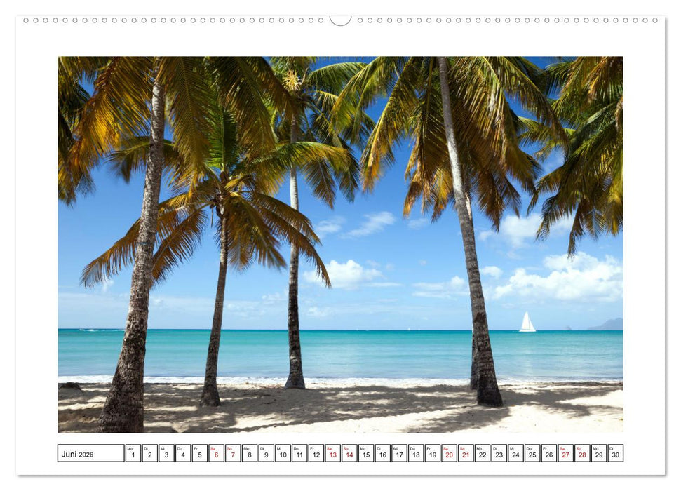 Traumstrände - Naturparadiese aus aller Welt (CALVENDO Premium Wandkalender 2026)