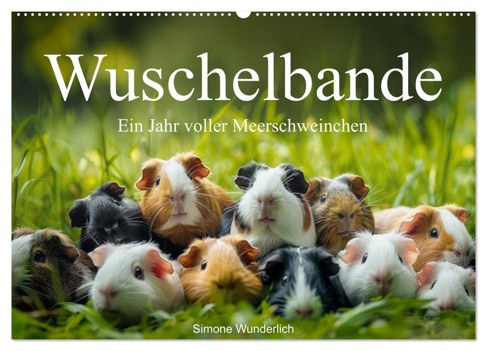 Wuschelbande - Ein Jahr voller Meerschweinchen (CALVENDO Wandkalender 2026)
