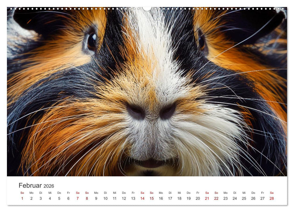 Wuschelbande - Ein Jahr voller Meerschweinchen (CALVENDO Wandkalender 2026)