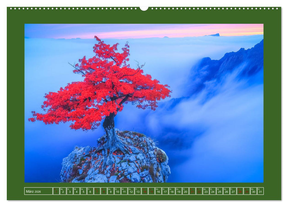 Die Zeitreisenden des Waldes (CALVENDO Premium Wandkalender 2026)