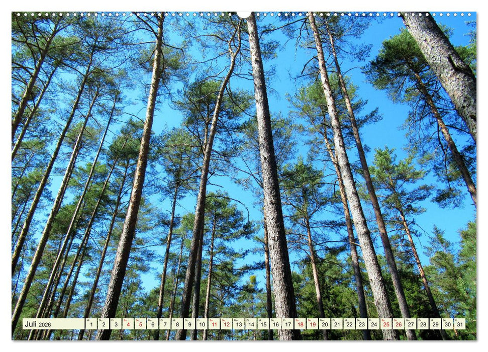 Roth - Allersberg - Rothsee - Die Ferienregion in Mittelfranken (CALVENDO Premium Wandkalender 2026)